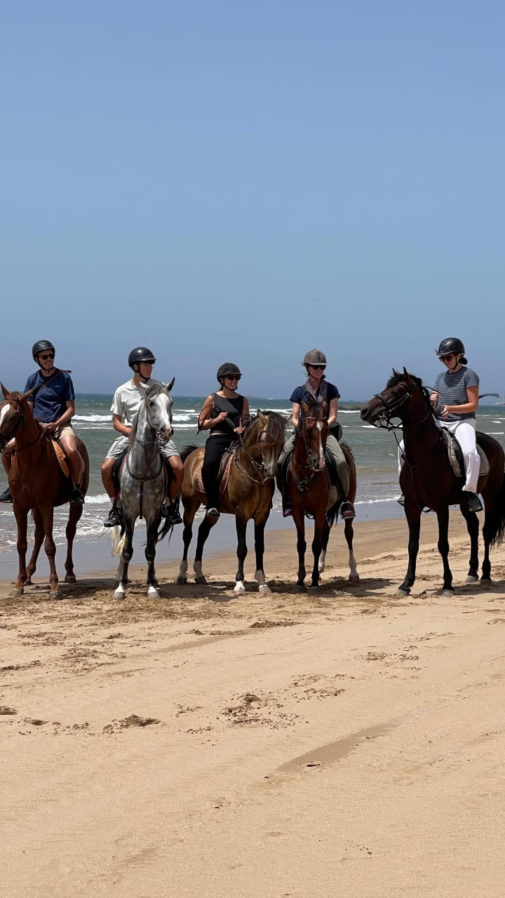 Group of riders on the beach on a bright summer day
