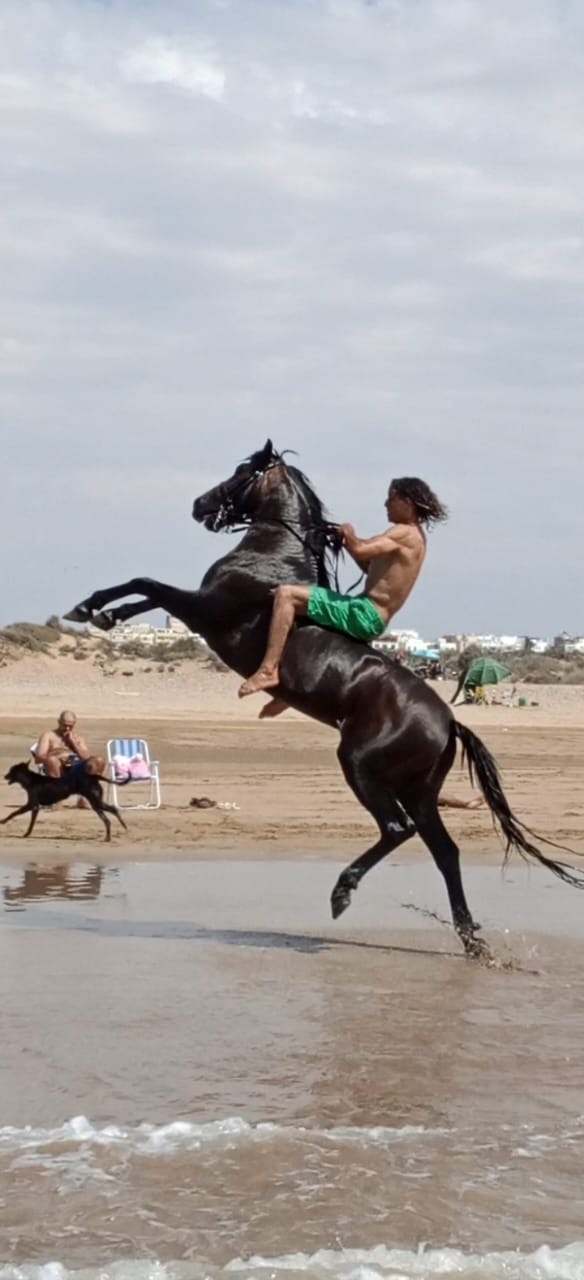 Assif cabré sur la plage avec Mokhtar monté à cru