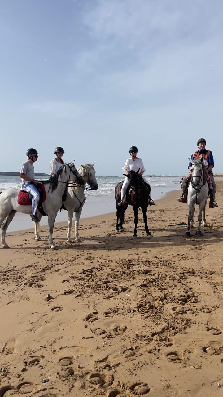 Riders lined up along the shoreline in Essaouira