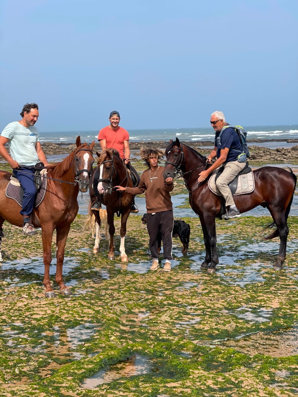Riders and guide among the rocks at low tide